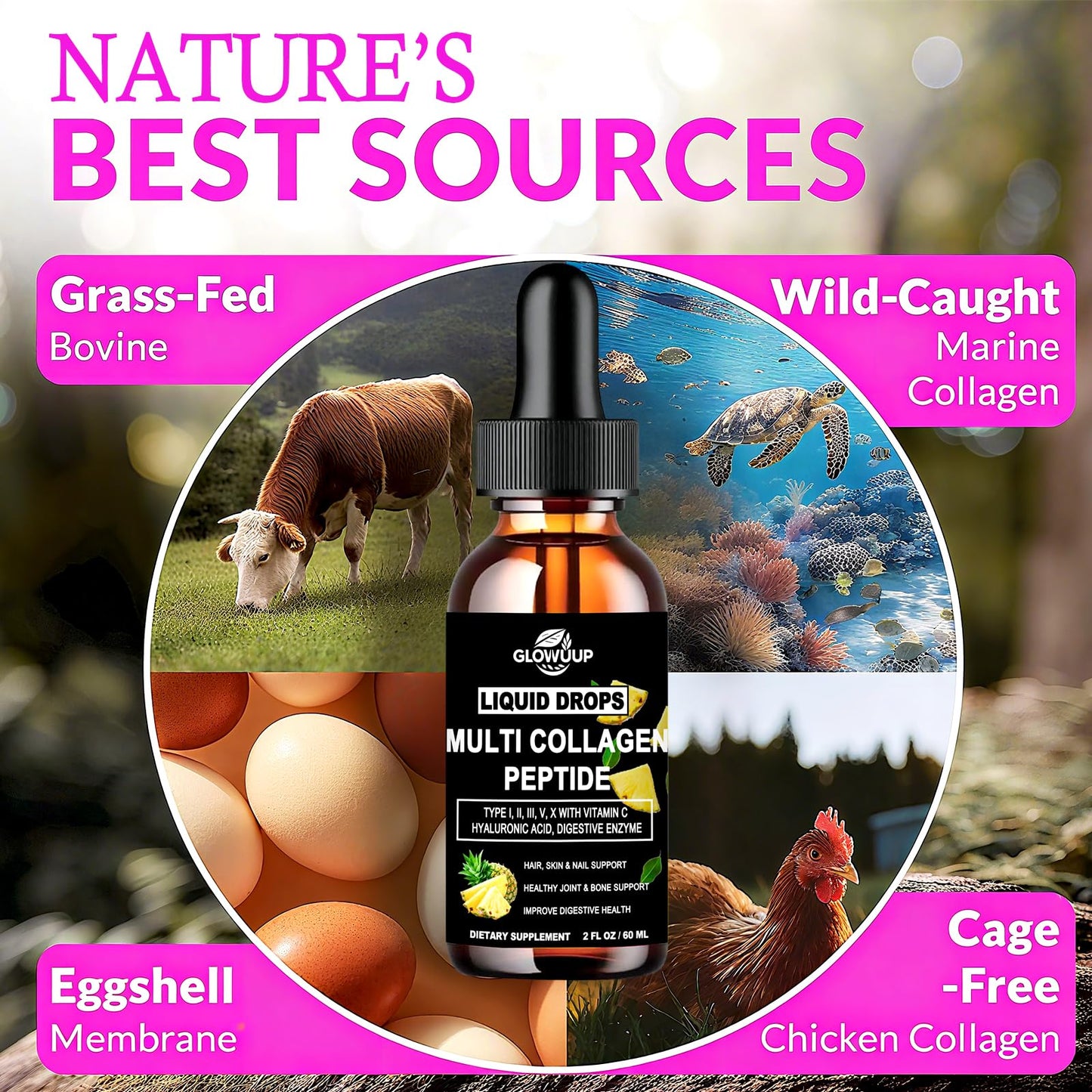 Multi Collagen Peptides Liquid Drops with Hyaluronic Acid – Hair, Skin & Joints