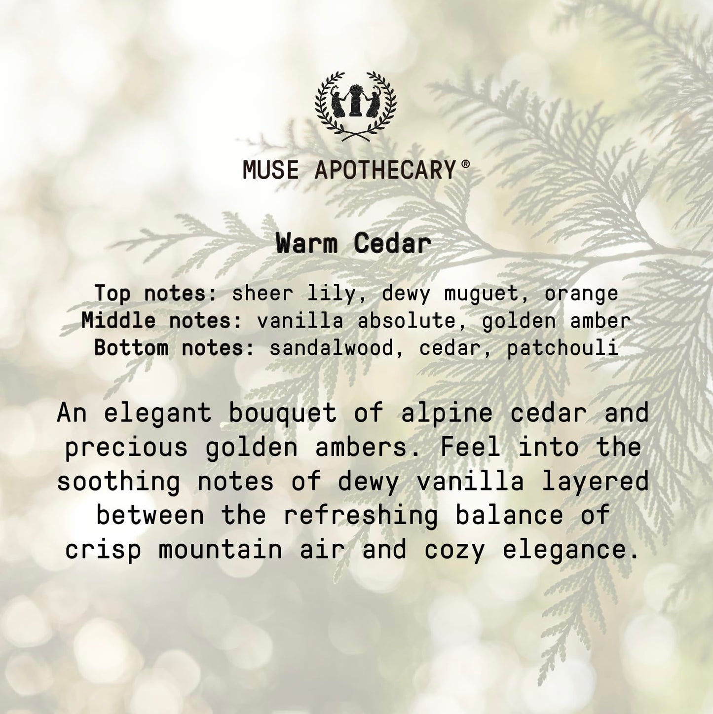 Muse Apothecary Pillow Ritual – Calming Pillow Mist (Warm Cedar)