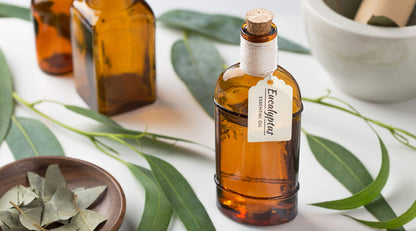 Muse Apothecary Room Ritual - Aromatic Room Mist 4 oz (Aloe + Eucalyptus + Lavender) - 2 Pack
