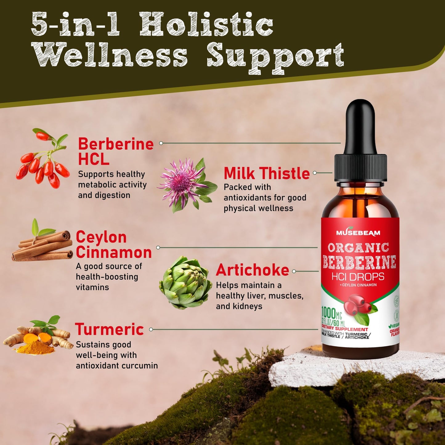 Musebeam Berberine HCL Drops 1000mg – 5-in-1 Cinnamon, Turmeric, Milk Thistle & Artichoke | Vegan, Sugar-Free, Gluten-Free 2 fl oz