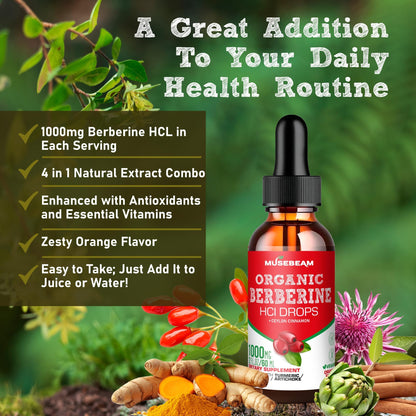 Musebeam Berberine HCL Drops 1000mg – 5-in-1 Cinnamon, Turmeric, Milk Thistle & Artichoke | Vegan, Sugar-Free, Gluten-Free 2 fl oz
