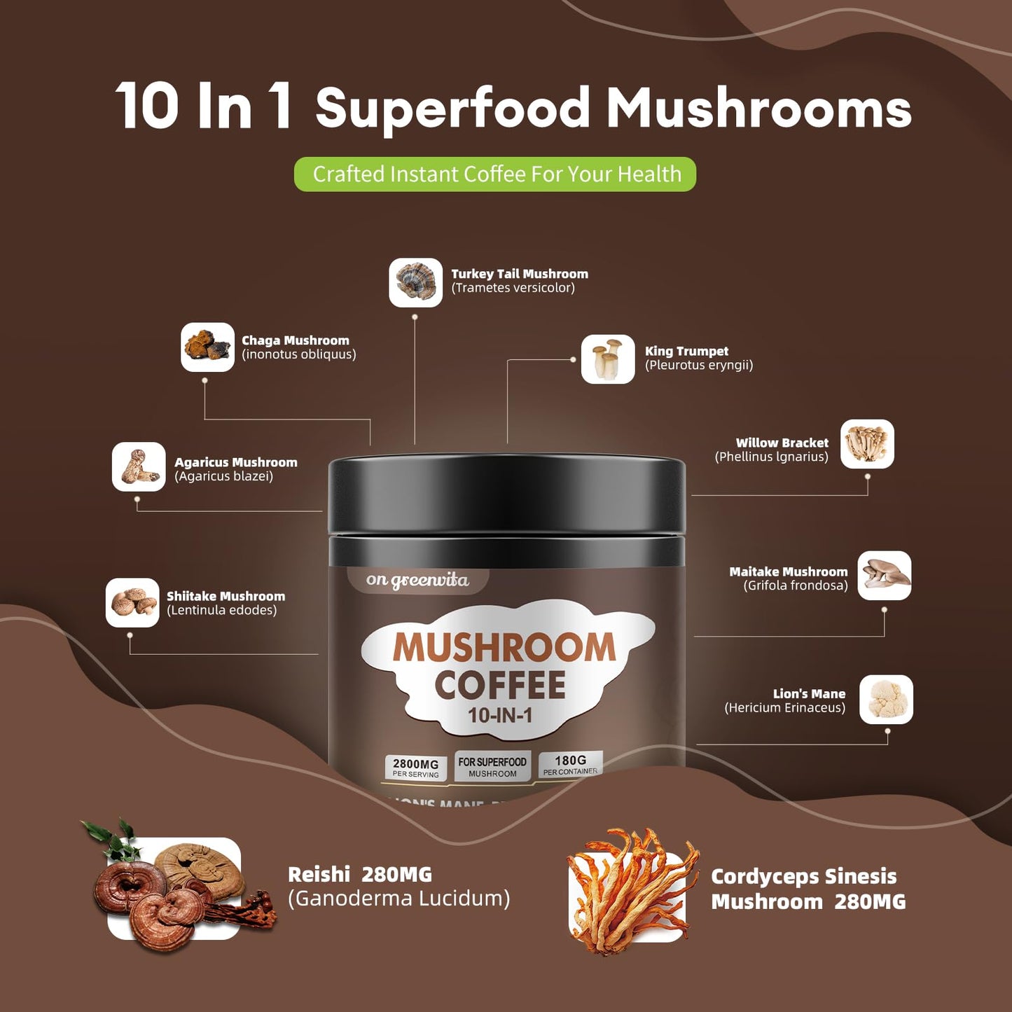 Mushroom Coffee 10-Mushroom Blend – Lion's Mane, Reishi, Cordyceps & More | Brain Boost & Focus 6.35oz
