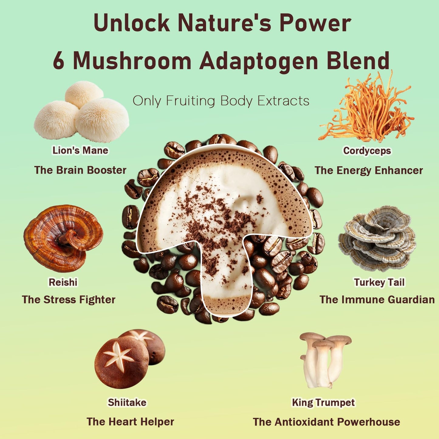 Mushroom Coffee – Adaptogenic Blend with Lion’s Mane, Reishi, Cordyceps, Shiitake, Turkey Tail & King Trumpet | 10.58 oz | 50 Servings