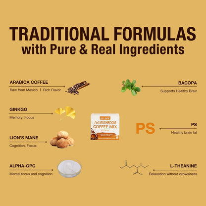 Mushroom Coffee Mix 7 in 1, with Ginkgo, Lions Mane, Alpha-GPC, Bacopa, PS, L-Theanine – 12 Sachets