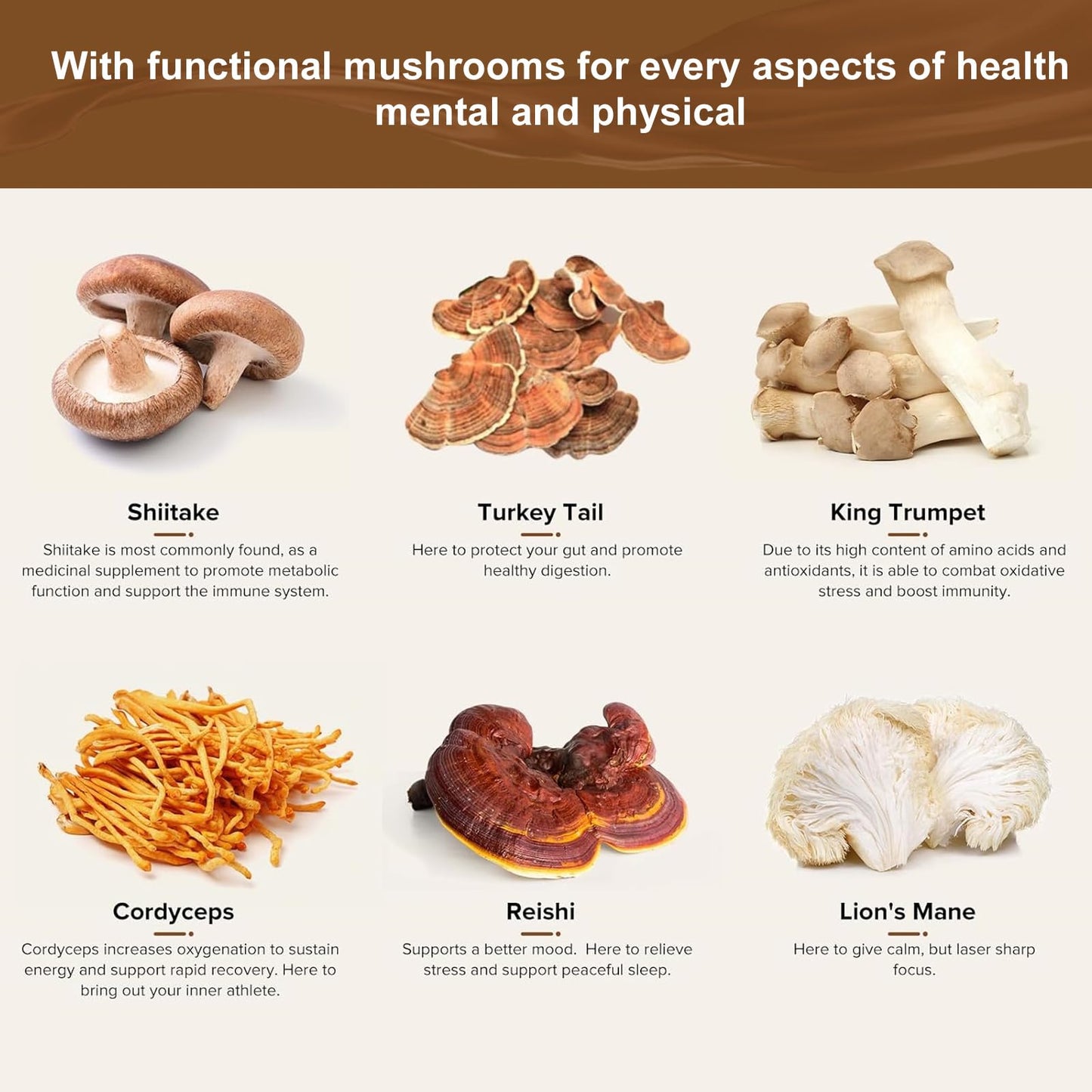 Organic Mushroom Coffee Blend with Lion's Mane, Cordyceps, Reishi, Shiitake & Turkey Tail