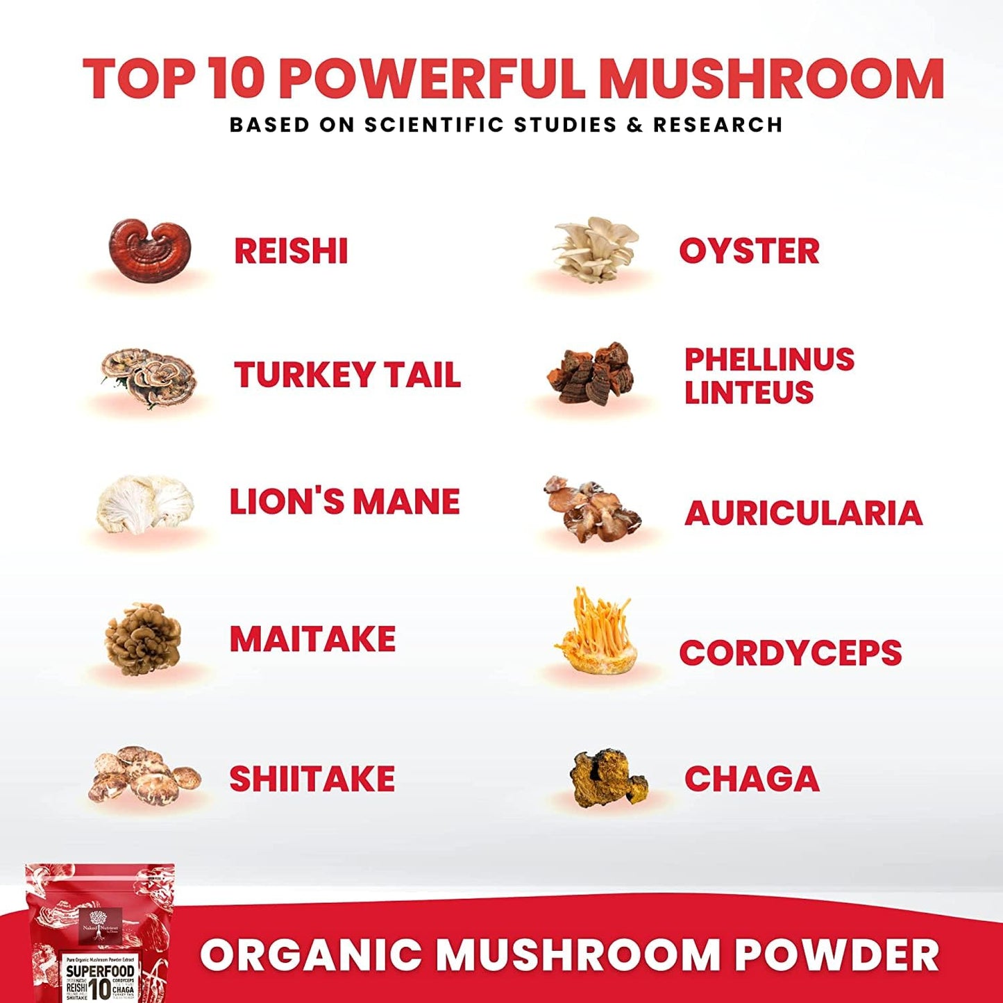 Organic Mushroom Powder Extract – 10-Mushroom Superfood Blend (14x Stronger) – 60g | USDA Immunity Booster