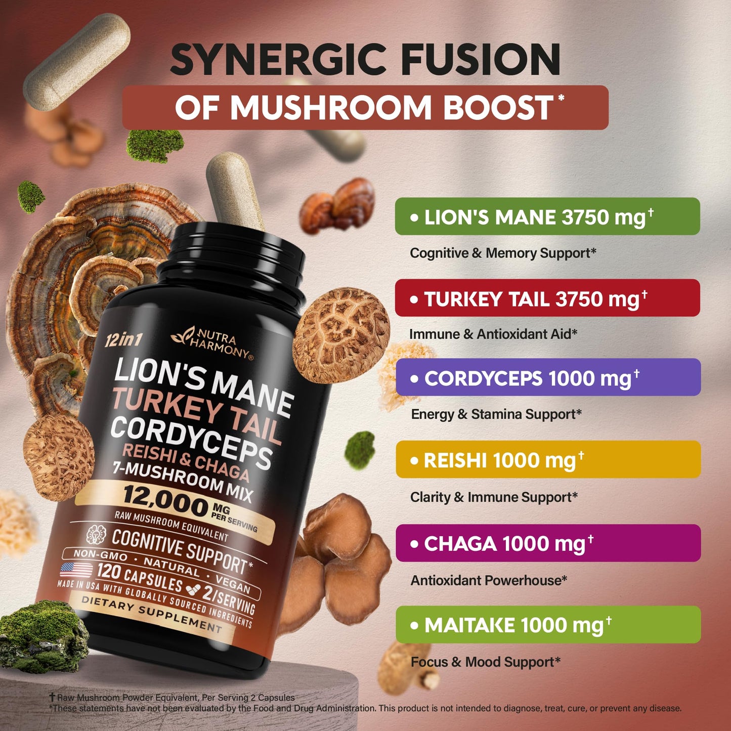 Mushroom Complex Supplement – Organic 12-Mushroom Blend, USA Made