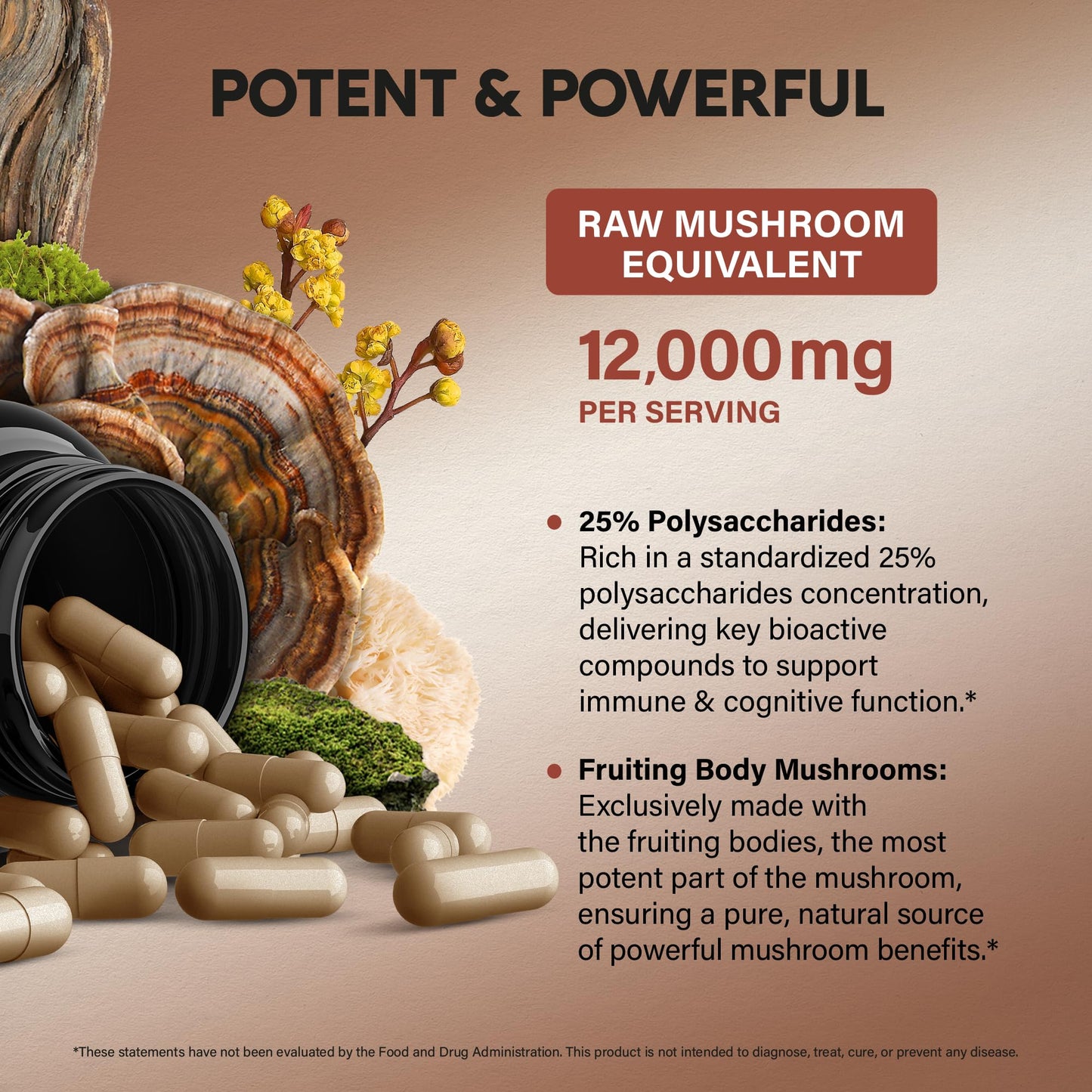 Mushroom Complex Supplement – Organic 12-Mushroom Blend, USA Made