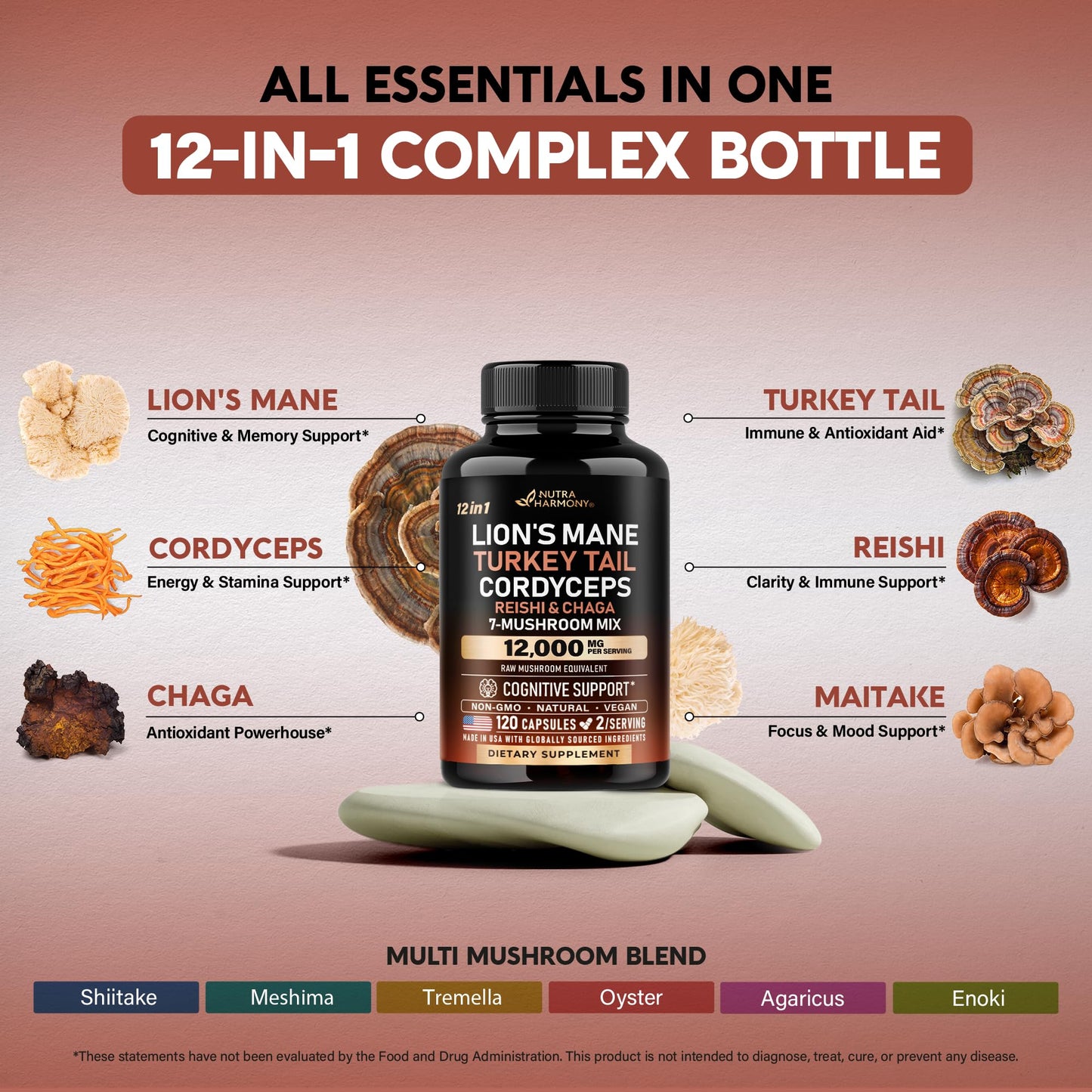 Mushroom Complex Supplement – Organic 12-Mushroom Blend, USA Made