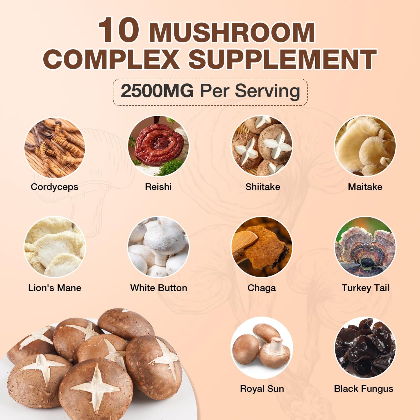 Mushroom Gummies - 10-Mushroom Complex for Adults (2 Pack) | Brain & Immunity Support