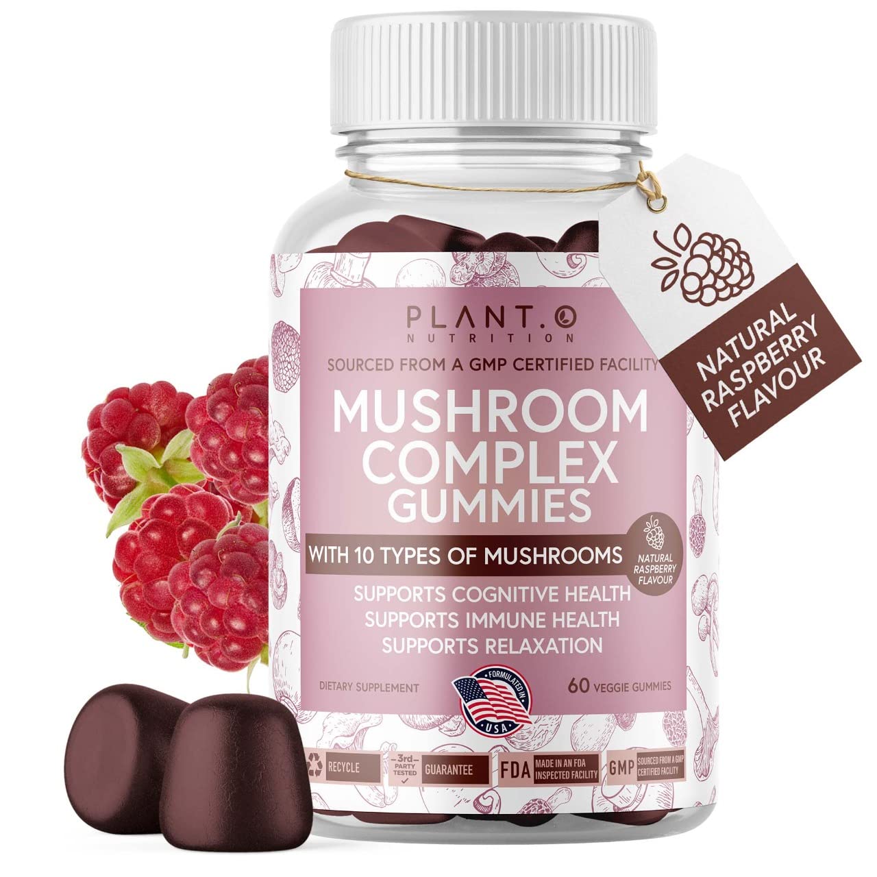 Mushroom Gummies Premium – 10-Mushroom Complex (Lion's Mane & Reishi) | 60 Chews