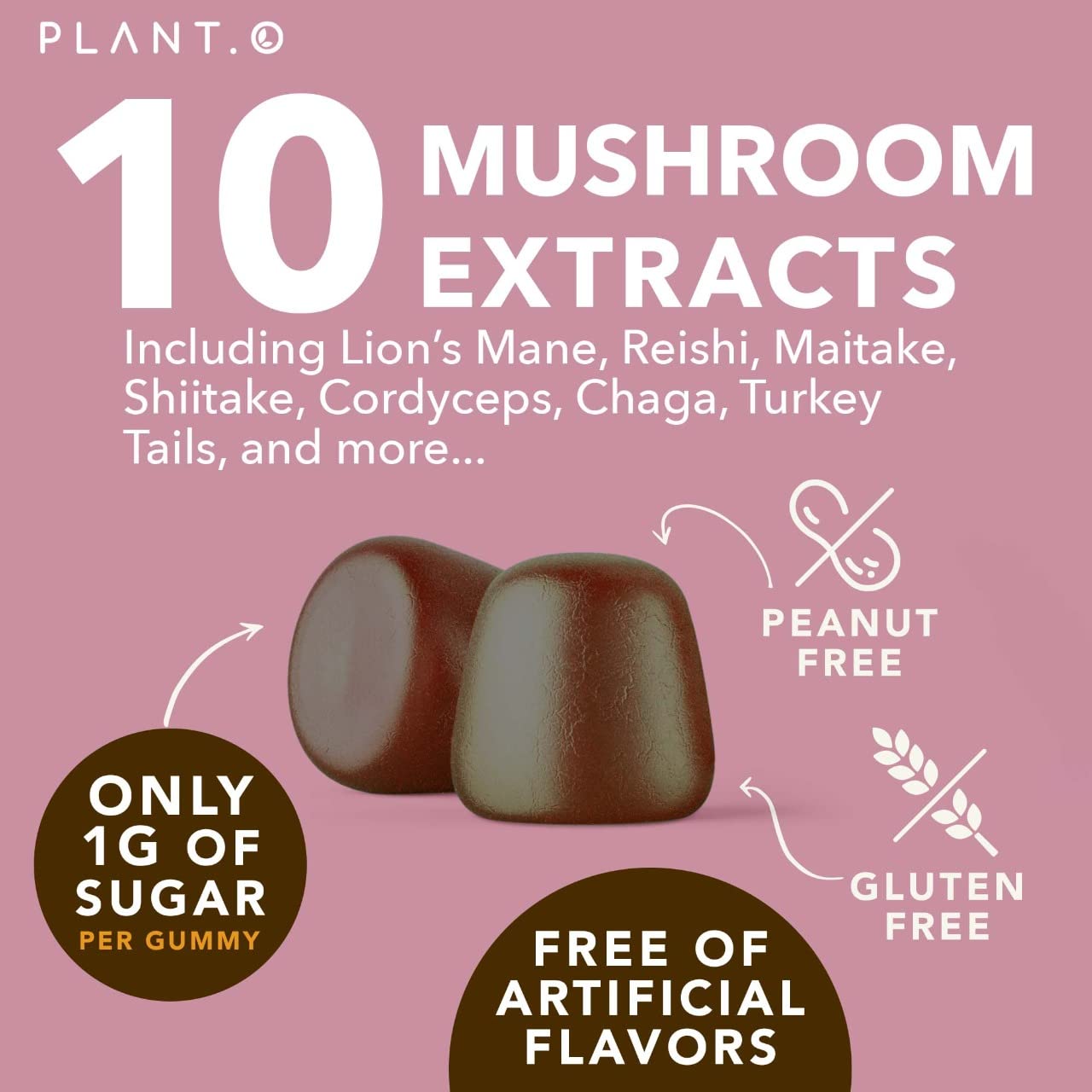 Mushroom Gummies Premium – 10-Mushroom Complex (Lion's Mane & Reishi) | 60 Chews