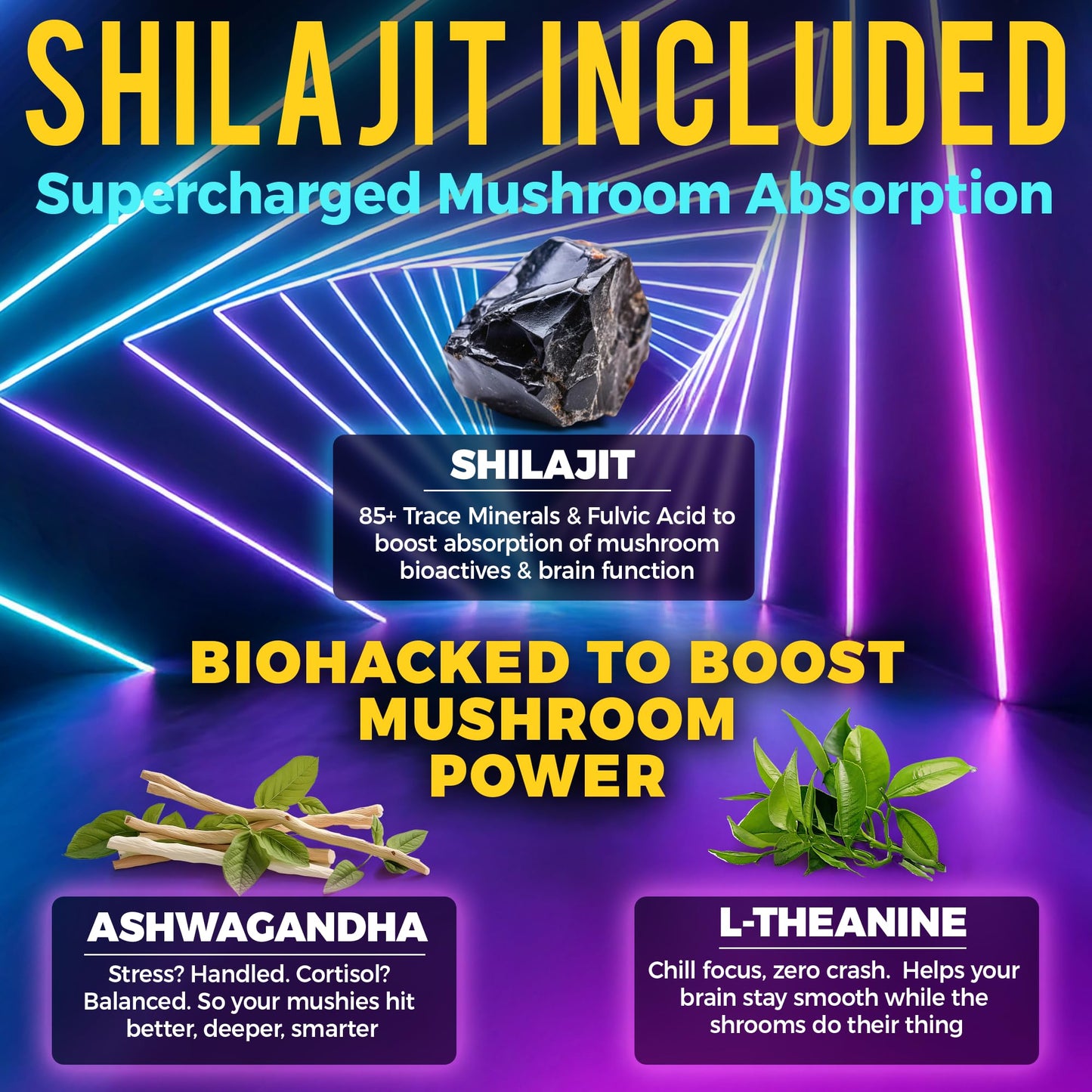 Next-Gen Mushroom Gummies with Ashwagandha & L-Theanine | 10-Mushroom Nootropic + Shilajit