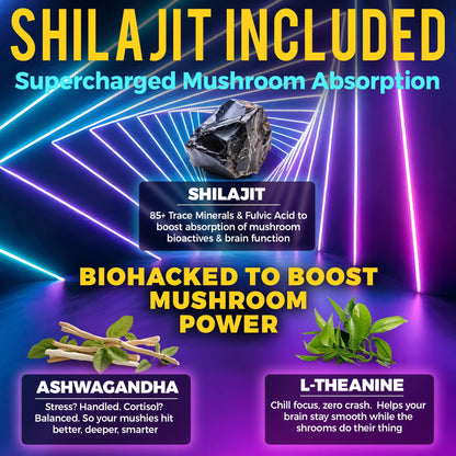Next-Gen Mushroom Gummies with Ashwagandha & L-Theanine | 10-Mushroom Nootropic + Shilajit