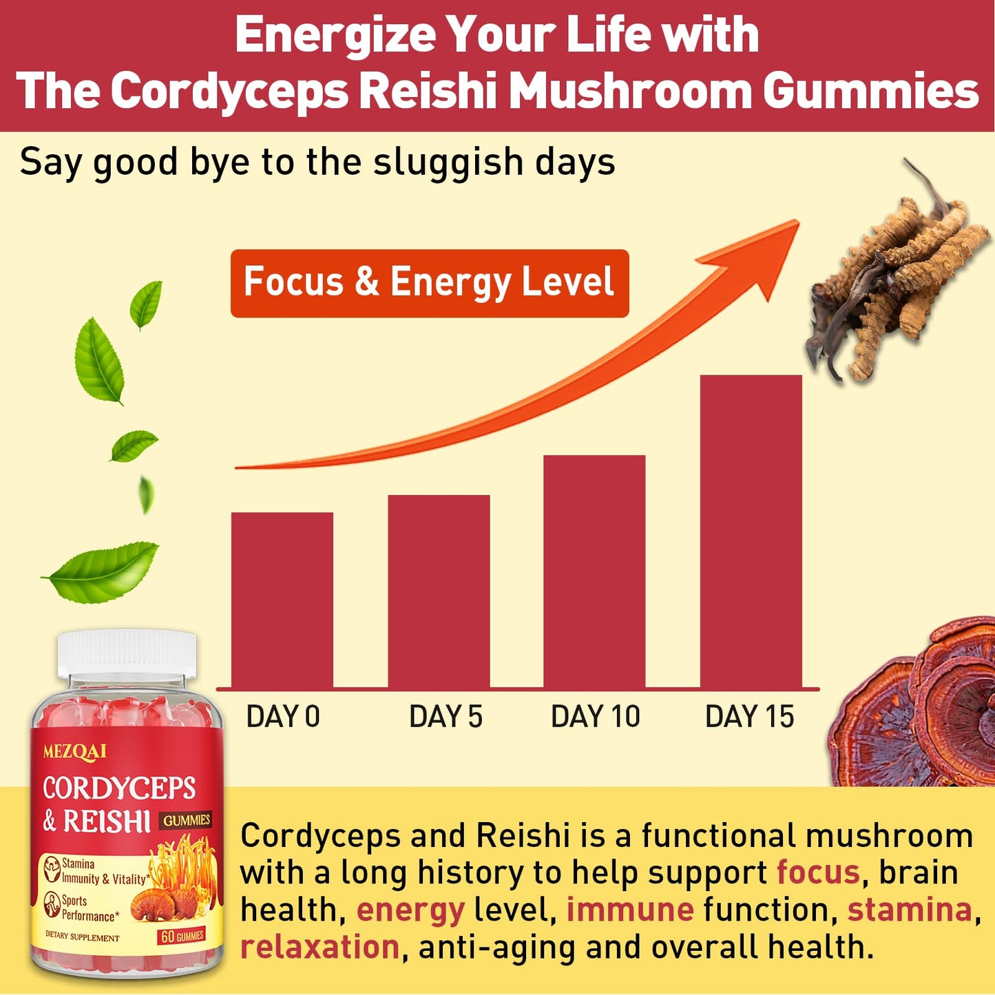Mushroom Gummies with Cordyceps & Reishi – Brain, Energy, Focus, Immunity & Rest (60 Count)