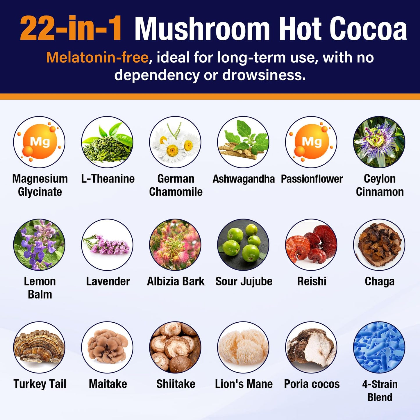 Mushroom Hot Cocoa with Magnesium Glycinate & Reishi - Vegan Sleep Support 7.4oz