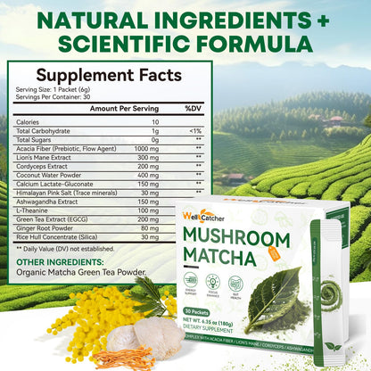 Mushroom Matcha Powder – Organic Ceremonial Grade with Lion’s Mane & Cordyceps