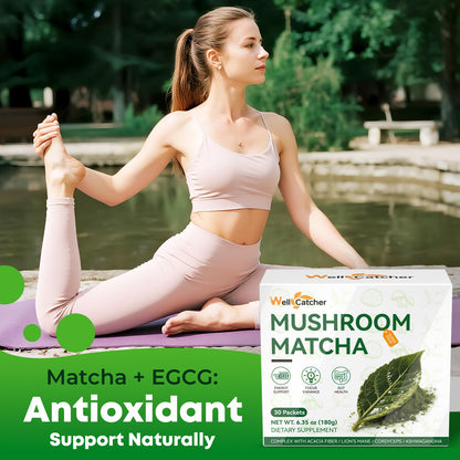 Mushroom Matcha Powder – Organic Ceremonial Grade with Lion’s Mane & Cordyceps
