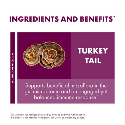 Host Defense Turkey Tail Mushroom Powder – Digestive Health and Immune Support (7 oz)