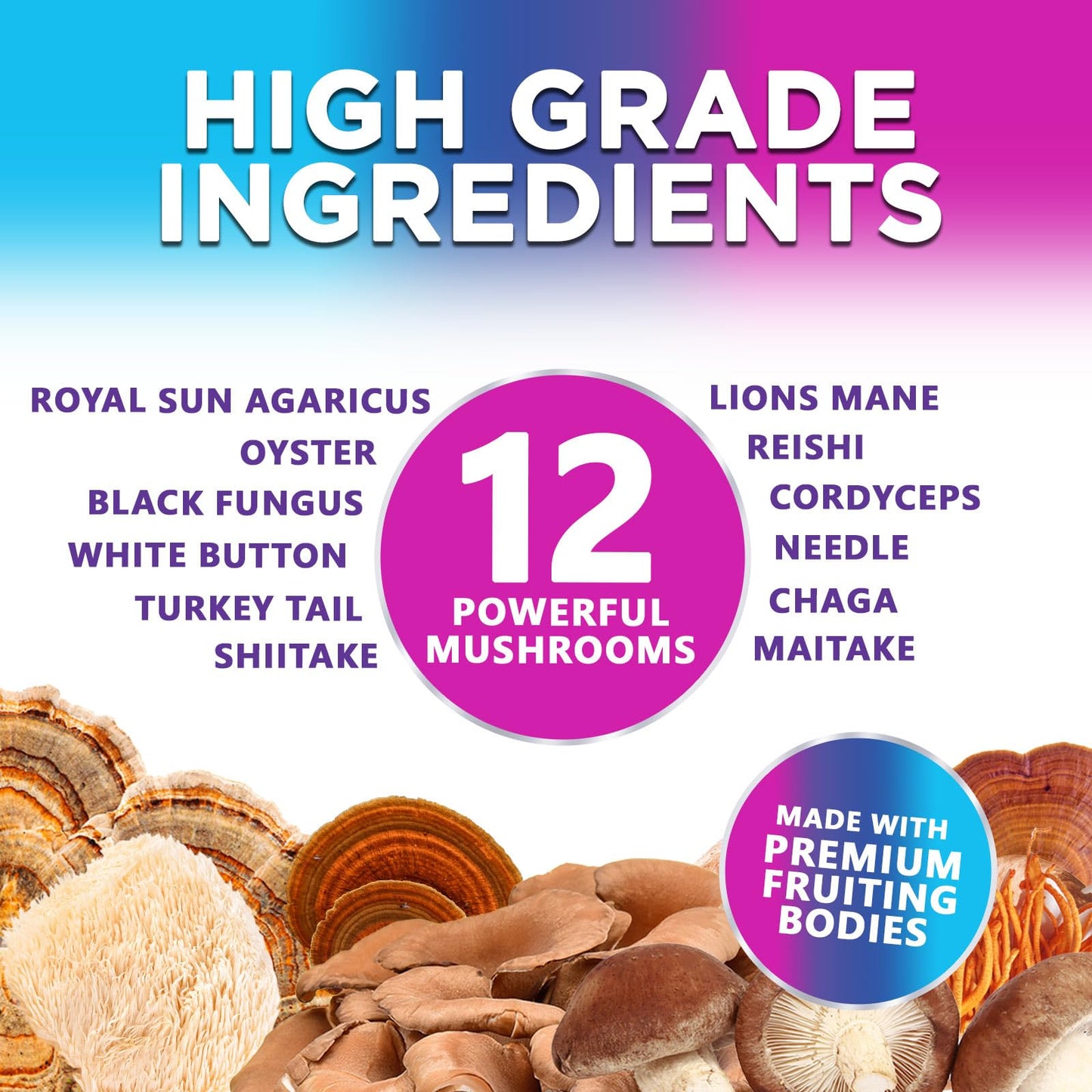Mushroom Gummies: 12-Mushroom Complex for Immune Support & Nootropics - 60 Gummies