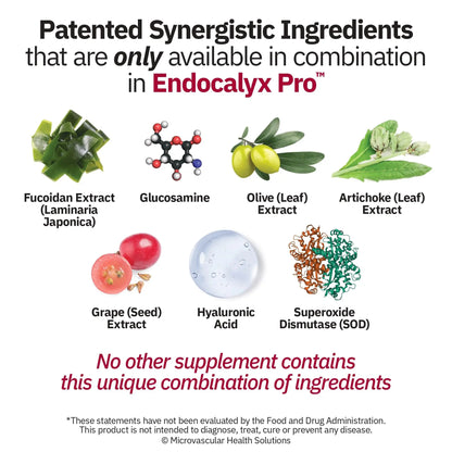 MYBODYRX Endocalyx Pro – Endothelial Glycocalyx Support, 120 Veggie Capsules | Vascular & Microcirculation Health | Patented Formula BritishVita | Premium UK Vitamins & Wellness Supplements
