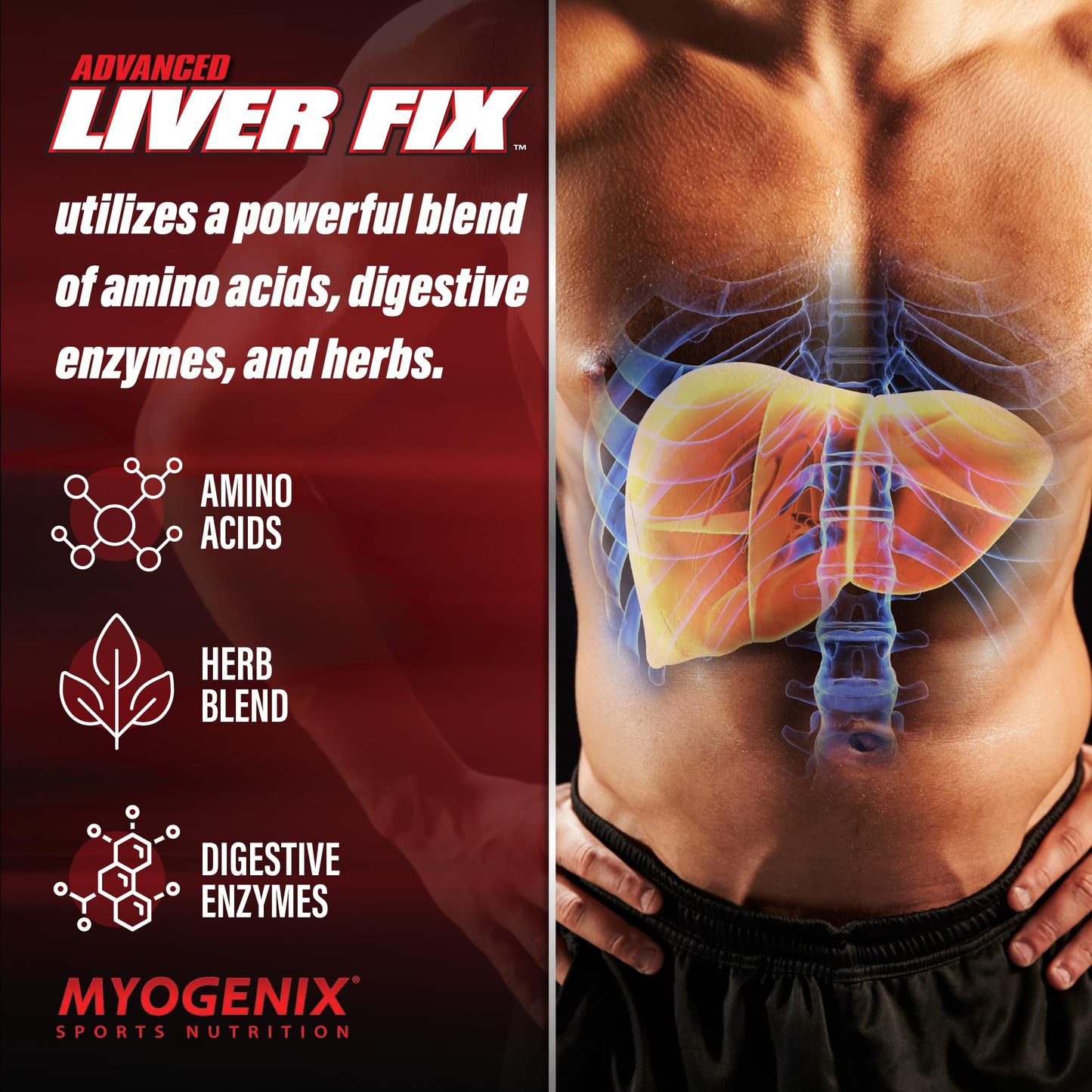 Myogenix Liver Fix – Professional Liver Detox Formula for Digestion & Fat Metabolism | 120 Capsules