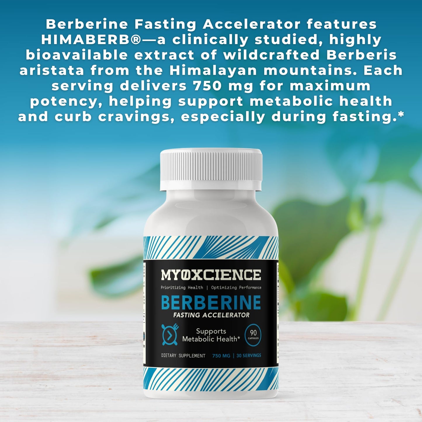 MYOXCIENCE Berberine Fasting Accelerator | Himaberb Berberine HCl + ALA & Biotin - 90 Capsules