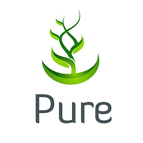 PURE ORIGINAL INGREDIENTS N-Acetyl L-Cysteine (365 Capsules) No Magnesium Or Rice Fillers, Always Pure, Lab Verified