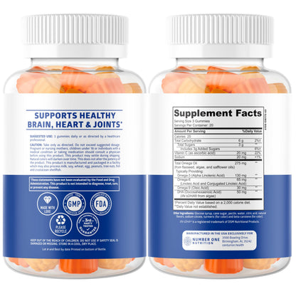 N1N Omega 3-6-9 + DHA Gummies (Vegan) – Brain & Immunity Support | Pack of 2