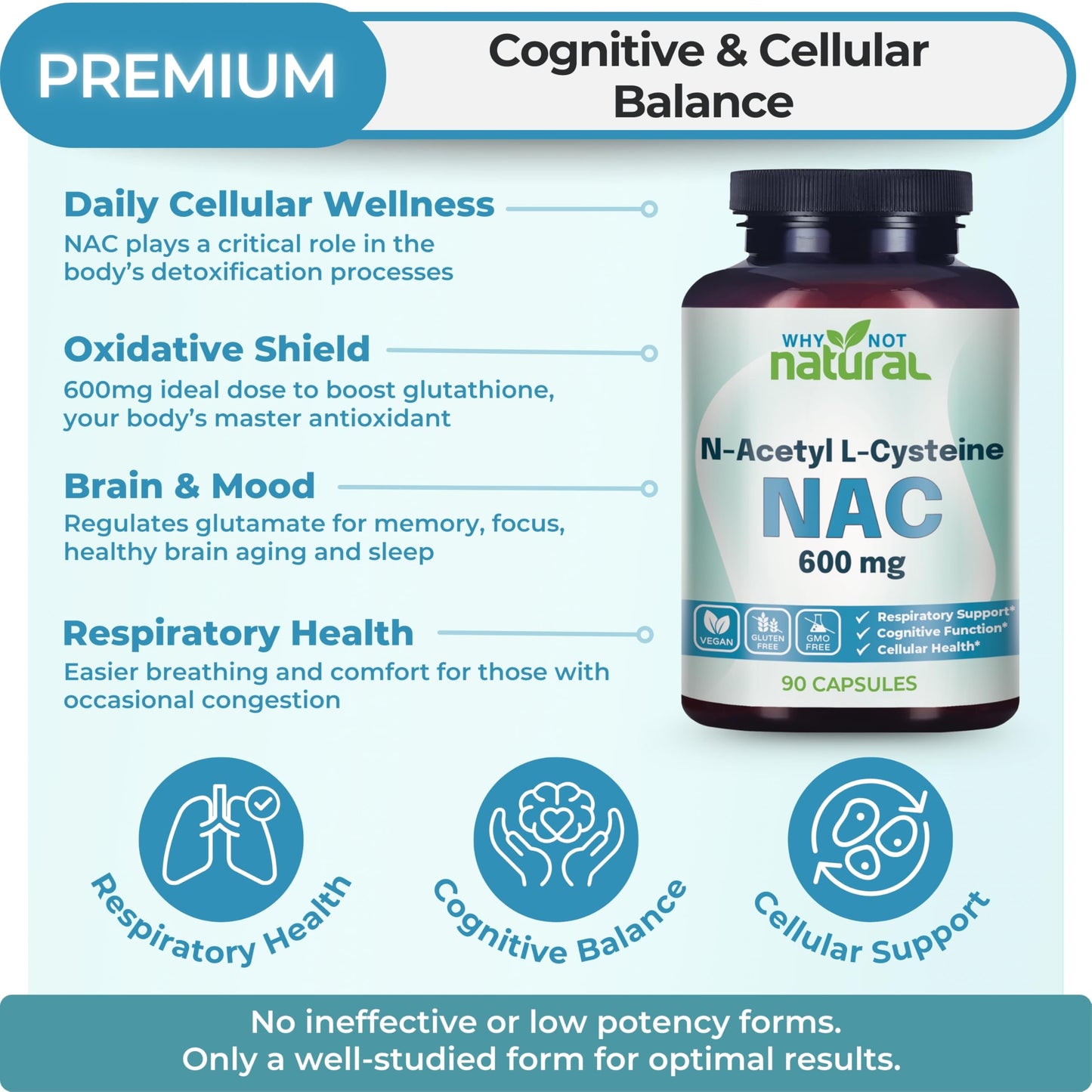 NAC Supplement 600 mg – N-Acetyl Cysteine Capsules | Pure, No Fillers