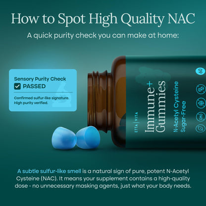 World's First Sugar-Free NAC Gummies – N-Acetyl Cysteine Supplement with MCT Oil Coating (60ct) | Respiratory Health & Liver Detox