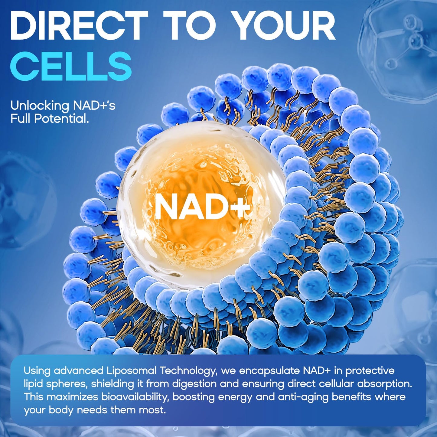 Liposomal NAD+ Liquid Drops 1500mg – Resveratrol, NR, PQQ, Collagen & Turmeric