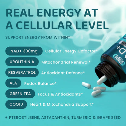 NAD+ Elite Complex – Direct NAD+ 300 mg (60 Veg Capsules)