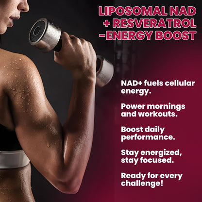 Liposomal NAD Supplement – 1200mg NAD+ Liquid Drops with Trans-Resveratrol & Black Pepper (Pineapple, 2 fl oz)