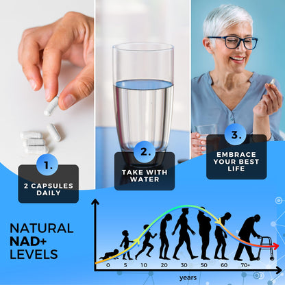 Nad+ + Resveratrol 1000mg Organic – B3, TMG | 120 Caps