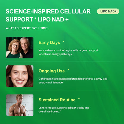 NAD+ Supplement 1100mg NR + Resveratrol | Liposomal Delivery | 120 Capsules