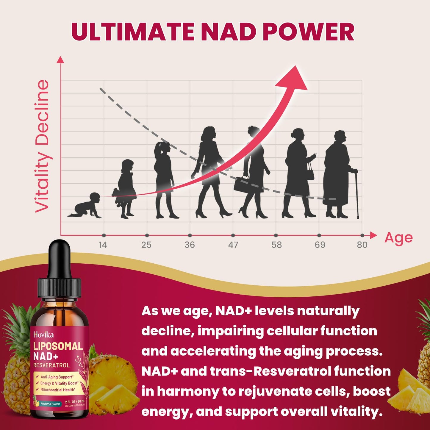 Liposomal NAD Supplement – 1200mg NAD+ Liquid Drops with Trans-Resveratrol & Black Pepper (Pineapple, 2 fl oz)