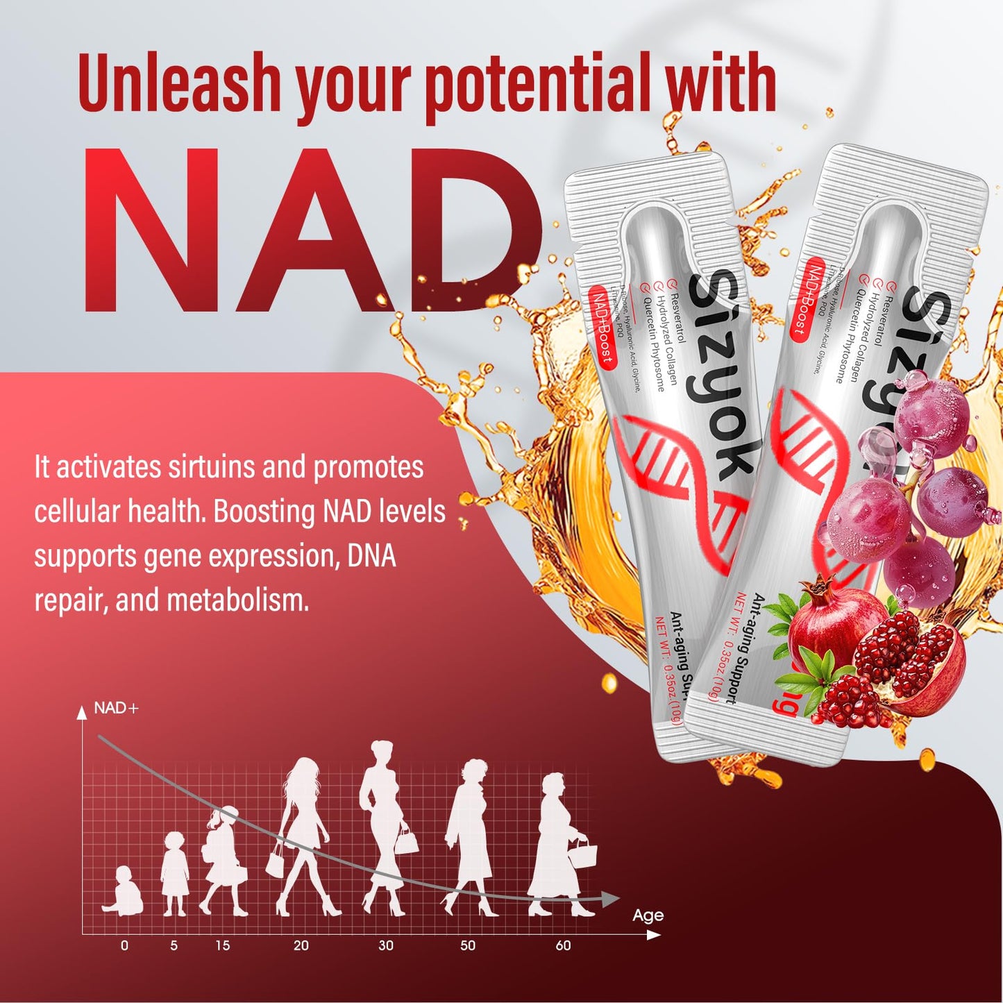 NAD+ 1000mg Liquid – High Absorption NAD+ with Trans-Resveratrol, Collagen & Hyaluronic Acid