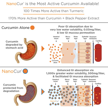 Nanocur Turmeric Curcumin - 100x Active, 170% More Active, Piperine-Free | Joint Support