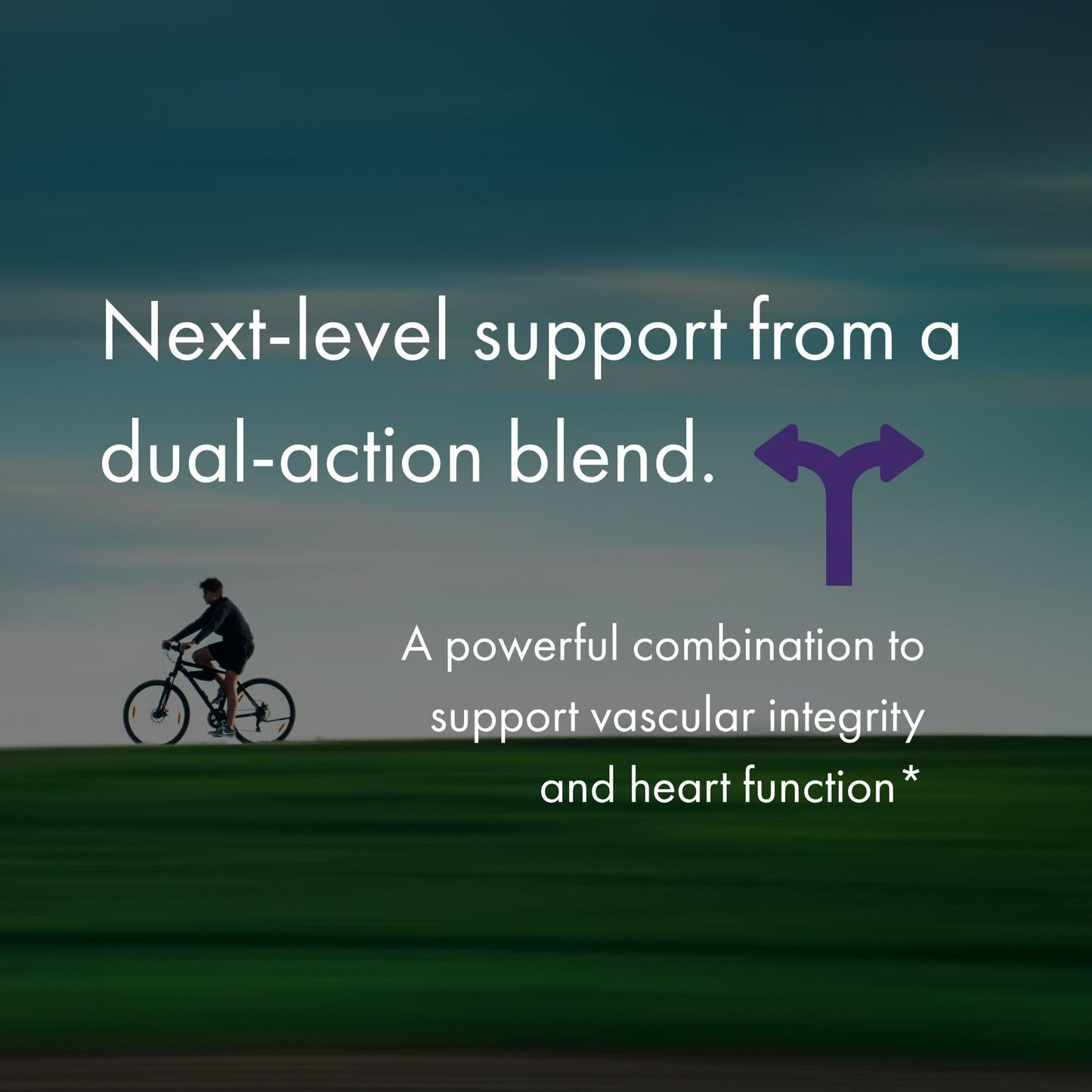 NAOMI BP Advanced: 1000mg Olive Leaf Extract + 180mcg Vitamin K2 | Cardiovascular Support