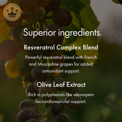 NAOMI Italian Citrus Bergamot 500mg + Resveratrol – 7 Polyphenols, 30-Day Supply BritishVita | Premium UK Vitamins & Wellness Supplements