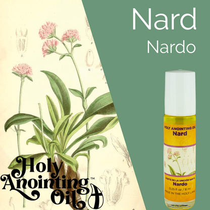 Nard Holy Land Anointing Oil from Jerusalem – 1/4 oz Roller Bottle | Locally Sourced Herbs & Essences | Gift for Pastors, Priests, Rabbis & Clergy