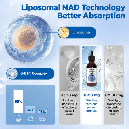 NATISLAND Liposomal NAD+ Supplement 1000mg – Liquid NAD+ for Energy, Metabolism & Anti-Aging (2 oz)