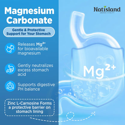 NATISLAND Magnesium Carbonate Gummies 500mg – Digestive & Muscle Support, Vegan, Sugar Free, Mixed Berry, 60 Count
