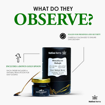 Native Rems Himalayan Shilajit Resin – Pure & Lab-Tested, Organic & Vegan