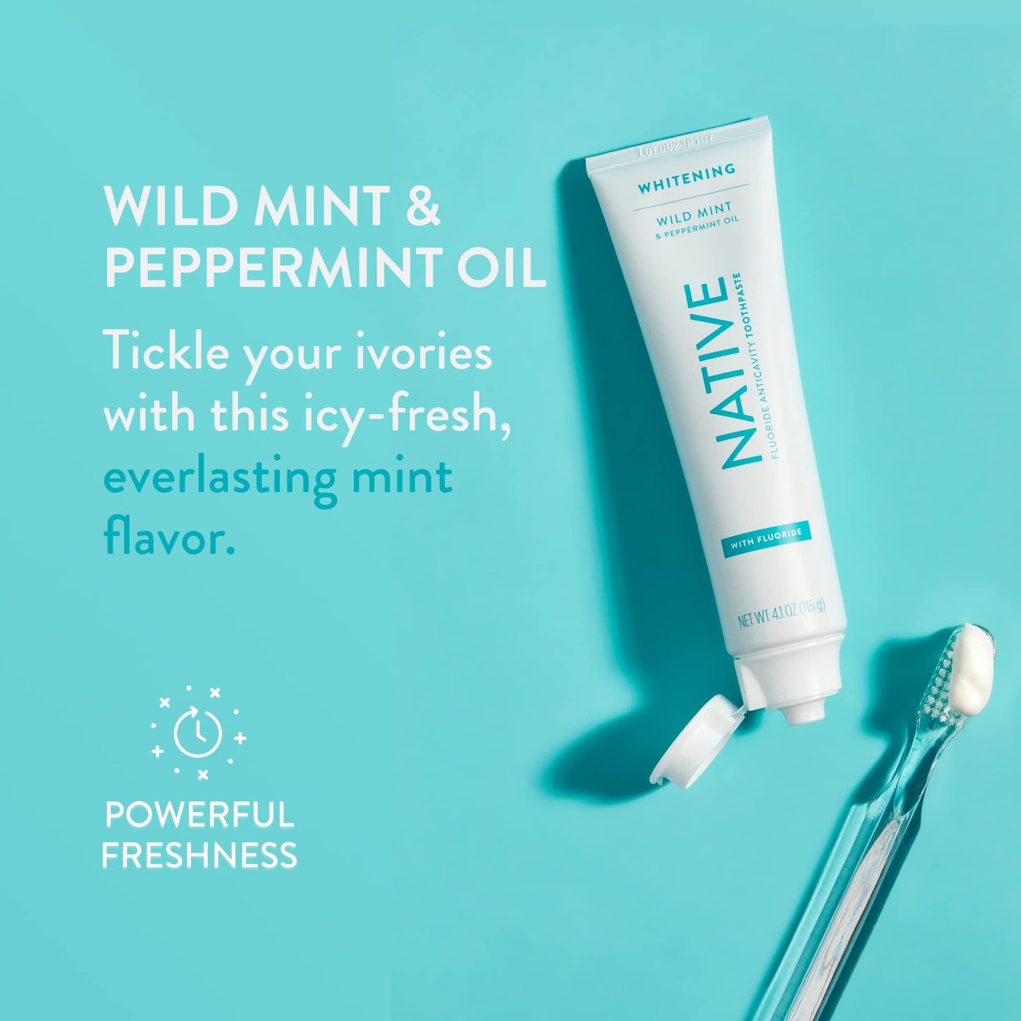 Native Toothpaste Wild Mint with Fluoride – 4.1 oz | Naturally-Derived Cleaners