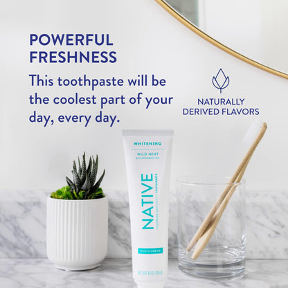 Native Toothpaste Wild Mint with Fluoride – 4.1 oz | Naturally-Derived Cleaners