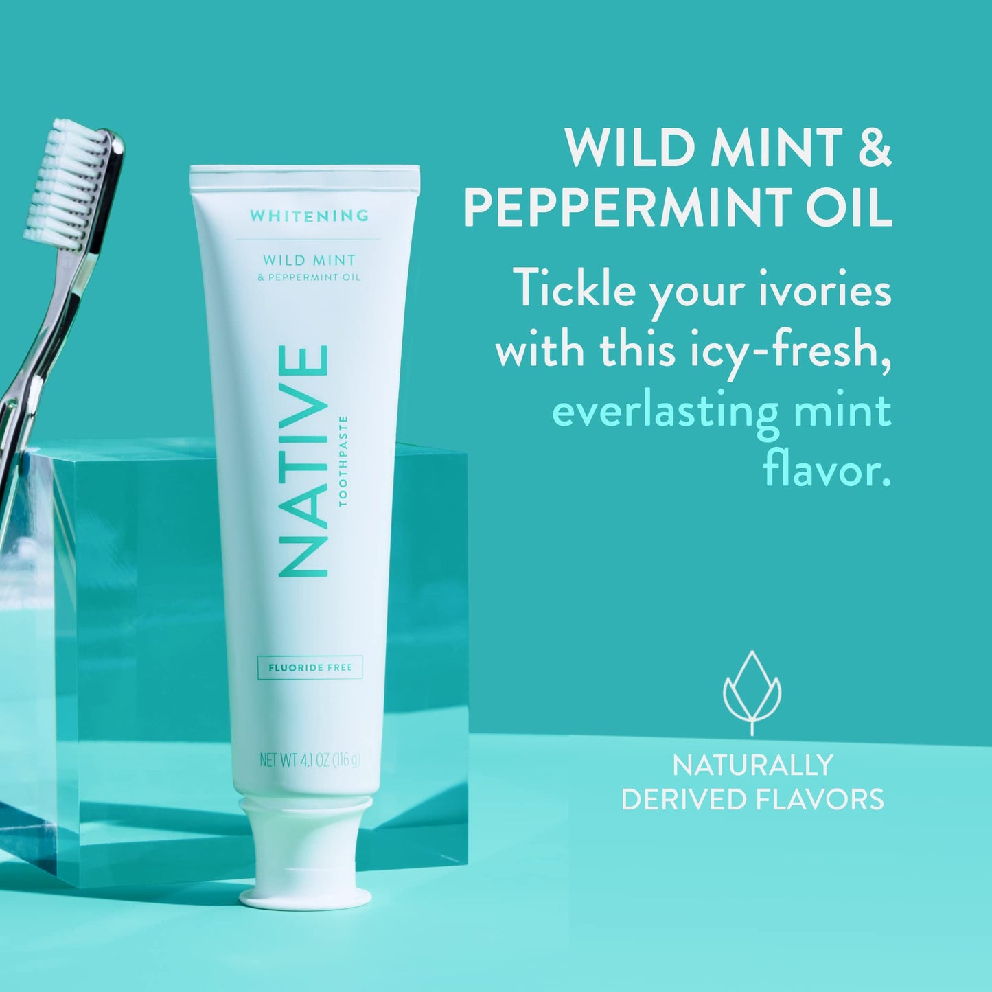 Native Toothpaste – Wild Mint, Fluoride Free, 4.1 oz