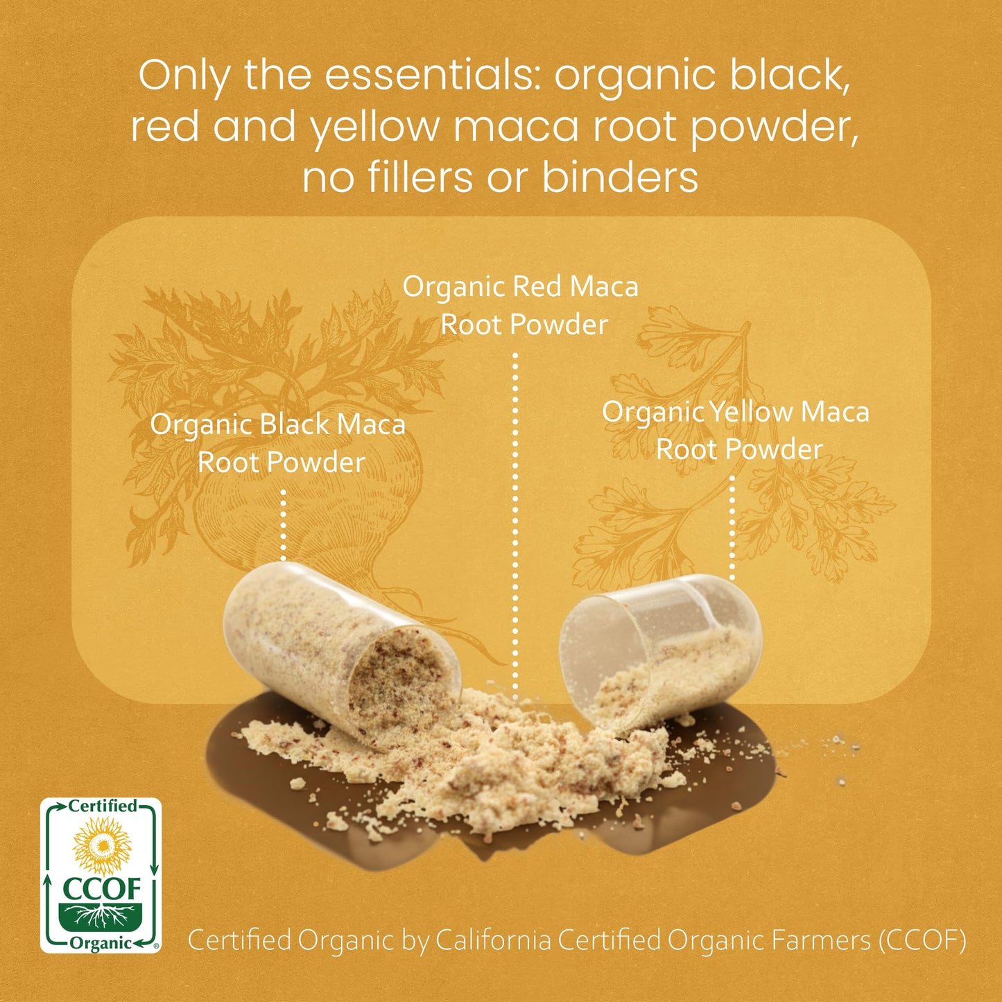 NaturaLife Labs Organic Maca Root – Black, Red & Yellow | 1900 mg per Serving | 150 Capsules | Vegan