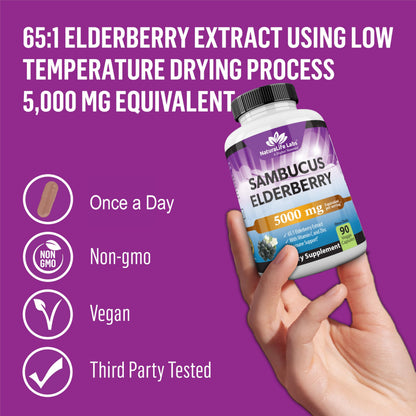NaturaLife Sambucus Elderberry 5,000 mg (65:1) + Vitamin C & Zinc – 90 Veg Capsules